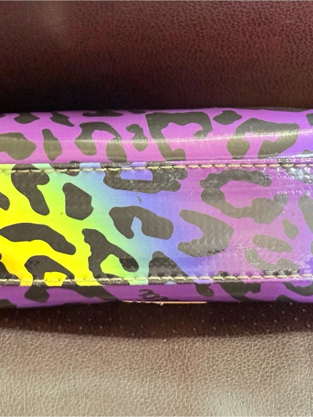 Consuela Semi Multi Color Leopard Cosmetic Case